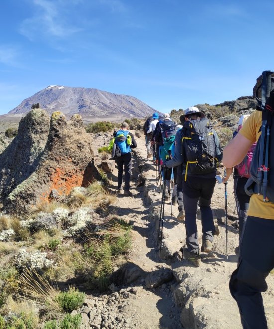 Kilimanjaro: Rongai 7 days